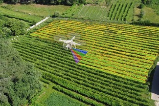 El vino frente al cambio climático: cómo se reinventa el viñedo español