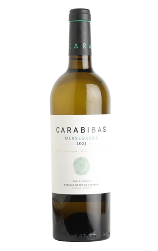 Carabibas Merseguera 2024