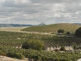 Visita Premium Internacional