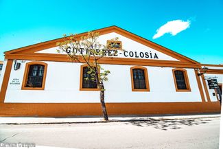 Bodega Gutierrez colosia
