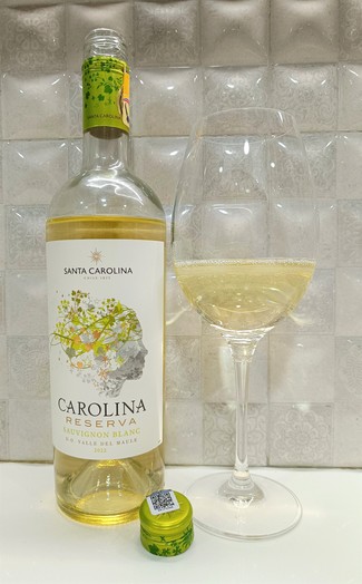 Delicioso Sauvignon blanc chileno