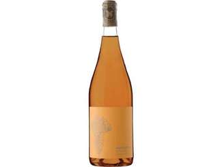 Materia Prima Orange 2024