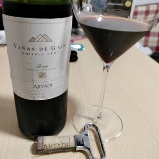 Artadi Viñas de Gain Crianza 1997, DO Ca Rioja