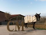 Visita privada «La Sierra» CM