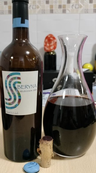 Beryna Selección 2005