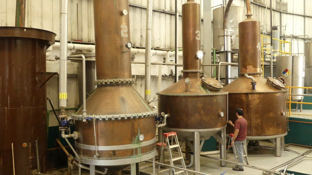 Jalisco la tierra del Tequila