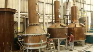 Jalisco la tierra del Tequila