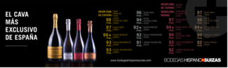 Alejandro Aparicio Villoria, Master Sommelier 2025 Del Sparkling Wine Master by Tantum Ergo