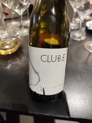 Castell d Encus Club E Albarinyo 2013