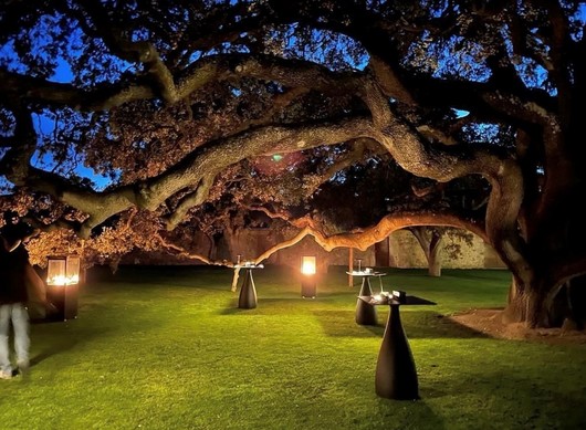 Enoturismo en Verema: el vino como destino