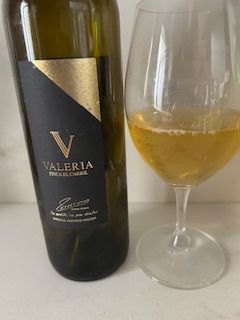 Iniesta Finca el Carril Valeria 2019