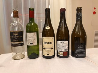 trasera (si la tienen)