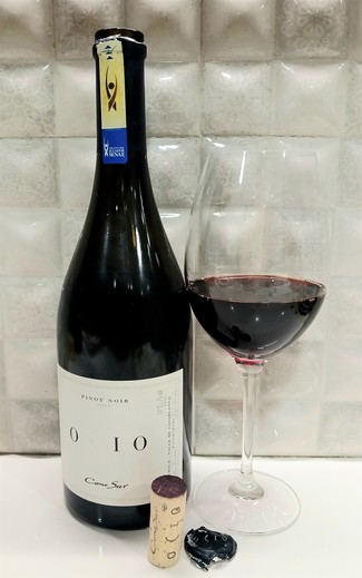 Sensacional Pinot noir chileno