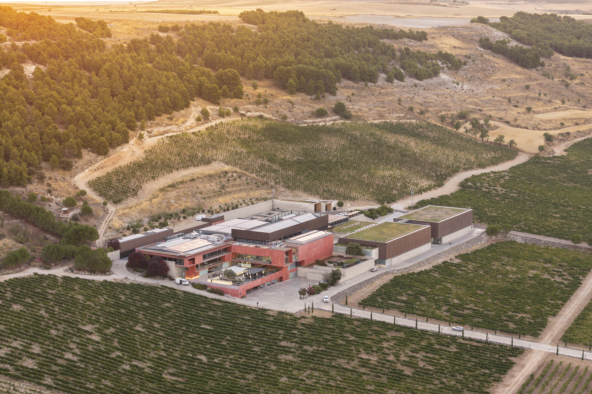 Pago de Carraovejas entra en la lista de las 20 mejores bodegas del mundo