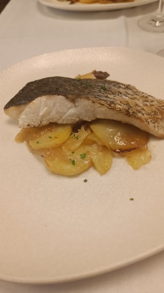 Corvina a la plancha