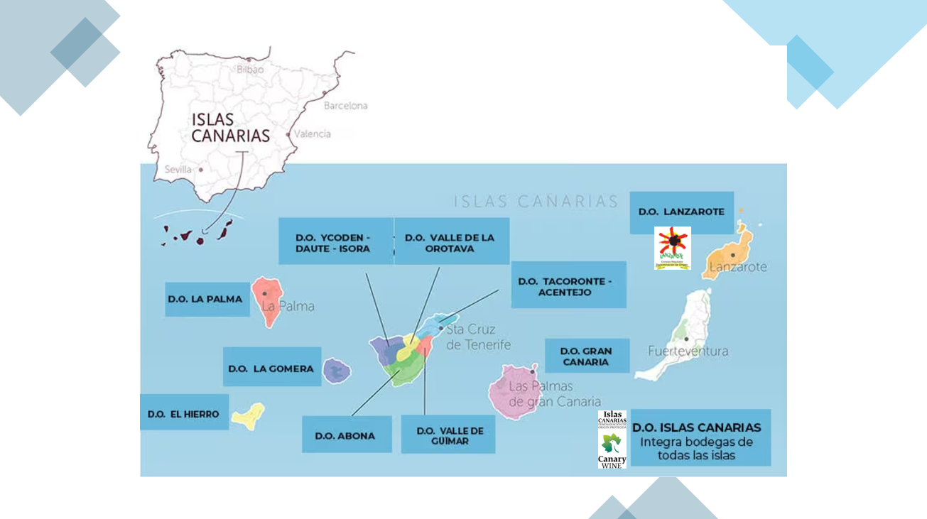 Salón de Vinos Especiales de Madrid, cata de Vinos Volcánicos de Canarias