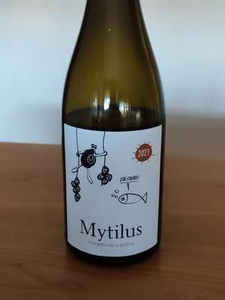 Mytilus 2023