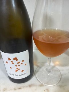 Abel Mendoza blanco fermentado con pieles 2022