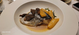 Corvina salvaje con guisado de colmenillas y espárragos blancos