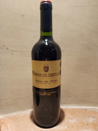 Mayor de Castilla 2009