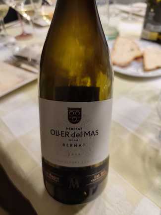Oller del Mas Bernat 2018