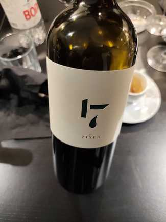 Pinea 17 Magnum 2020