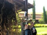 Visita & Mini Burguer a la parrilla
