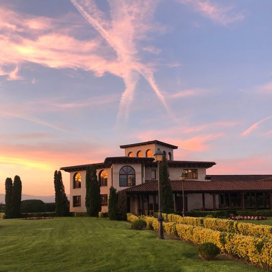 Puesta de sol Bodega