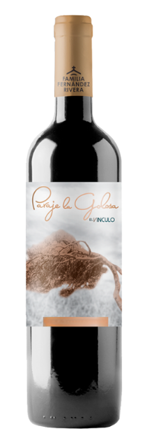 El Vínculo Paraje La Golosa 2019