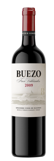 Buezo Finca de Valdeazadón 2009