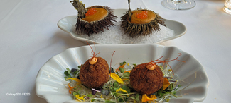 Croquetas de gambas de Palamos, Gratinado de erizo de mar con verduritas al cava,