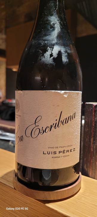 La Escribana