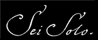 SEI SOLO Bodegas y Viñedos