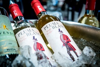 Pluma Blanca