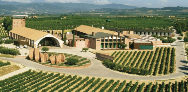 Uno de los grandes del Penedes, Juve&Camps, deja la D.O. CAVA y se incorpora a Corpinnat