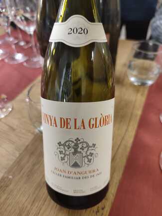 Vinya de la Glória 2020