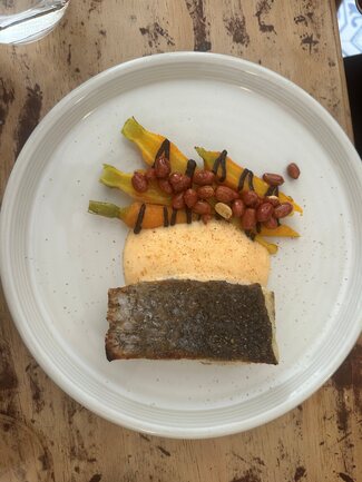 corvina