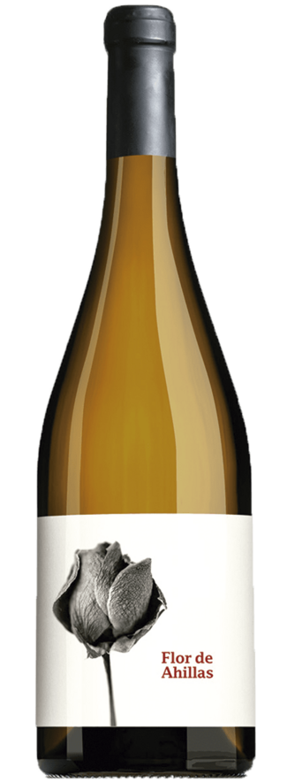 Flor de Ahillas Blanco 2024