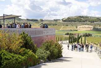 Alma Carraovejas acoge a la comunidad internacional del vino en una jornada del X congreso IVES