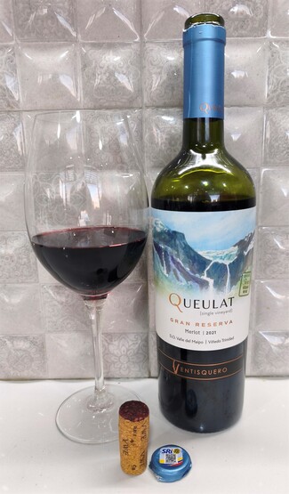 Rico merlot chileno