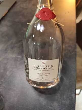 Pierre Trichet Coteaux Champenous Pinot Noir