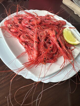 camarones