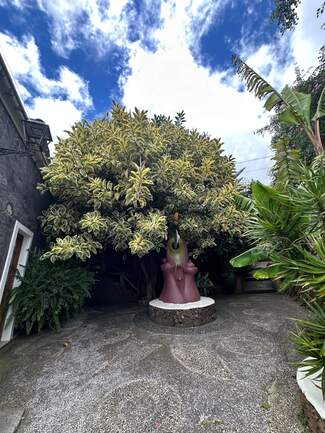 entrada
