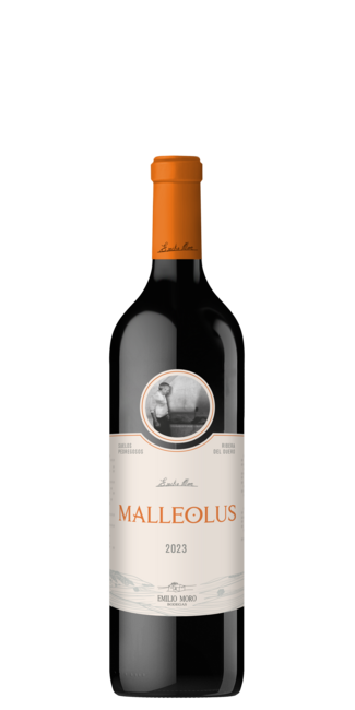 Malleolus 2023