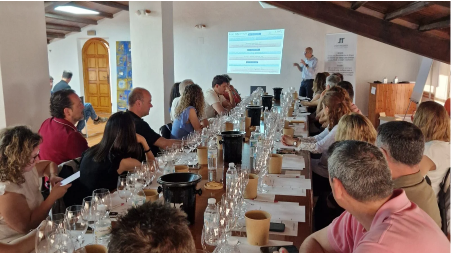 La XII Jornada de Enólogos de la DO Utiel-Requena: trabajar colectivamente la identidad del territorio