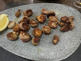 riñones