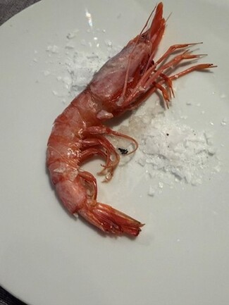 Gambas
