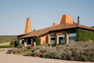BODEGA VIÑA MAYOR