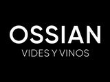 Ossian Vides y Vinos (Alma Carraovejas)