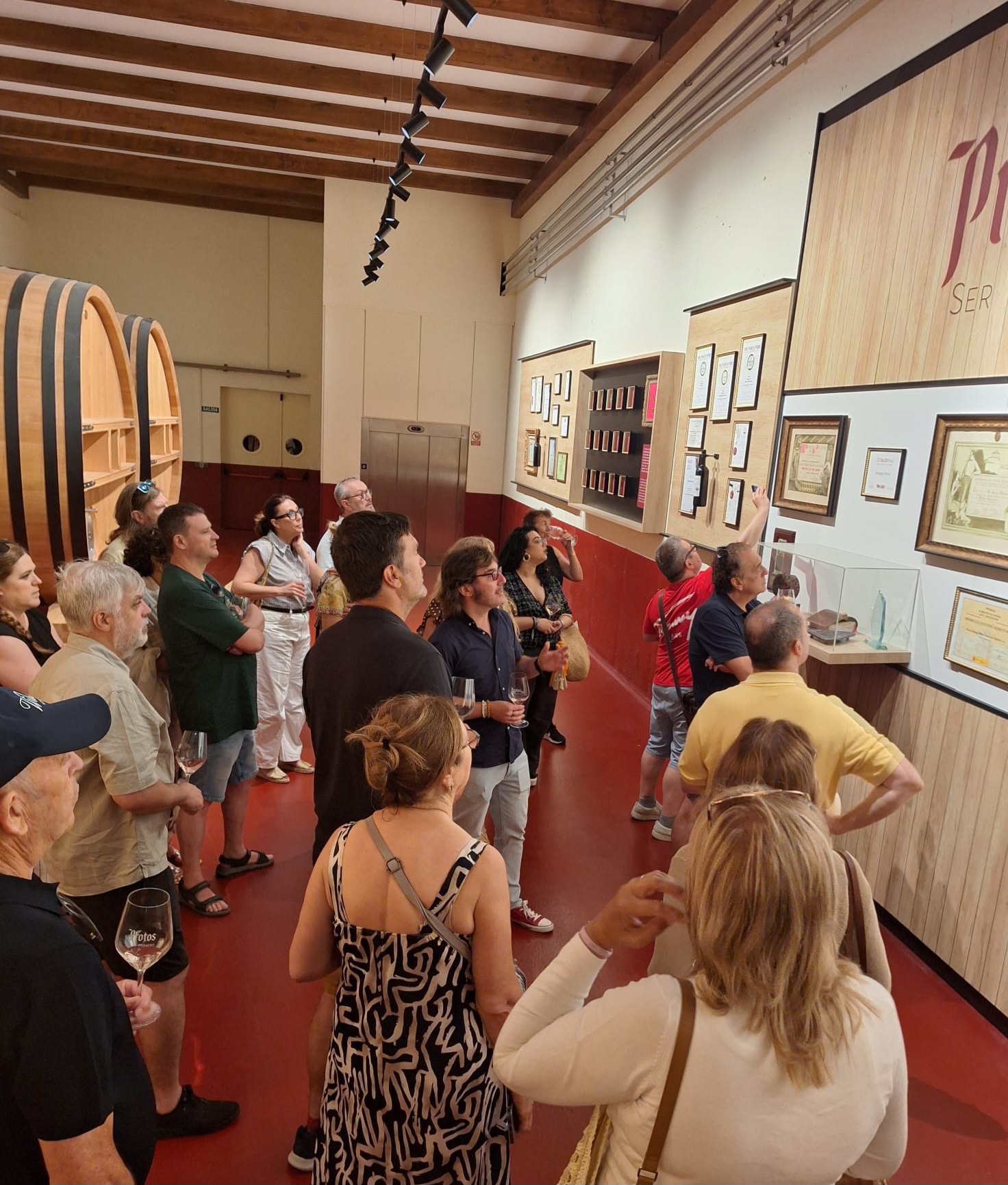 Bodega Protos
